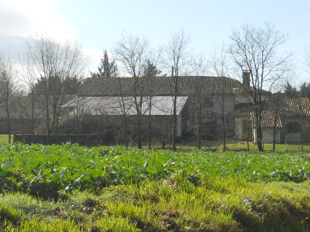 Wisteria & Jasmine Villa Genouille  Exterior foto